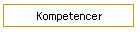 Kompetencer